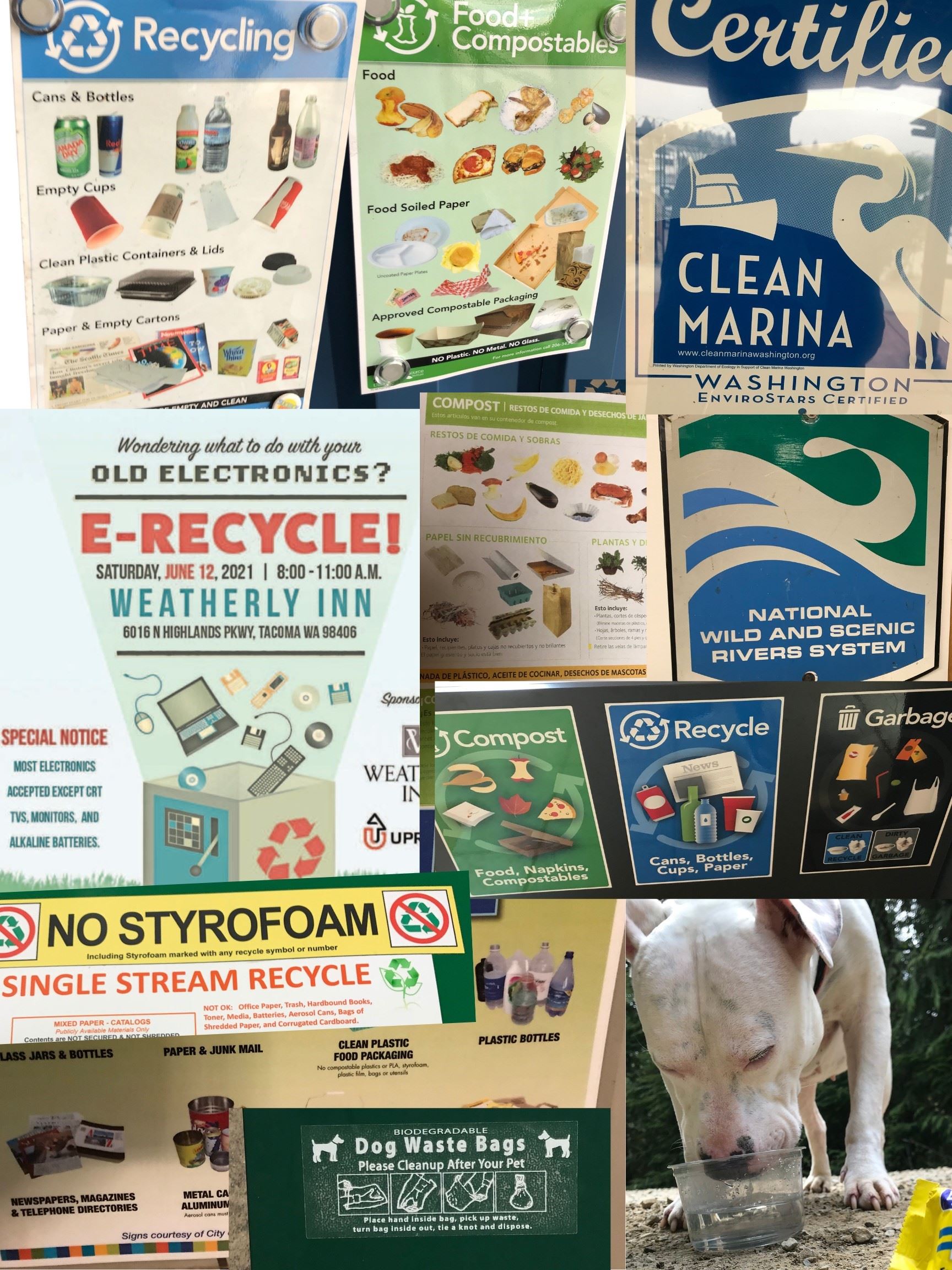 Collage of posters about recycling, composting, e-waste disposal, and environmental guidelines
