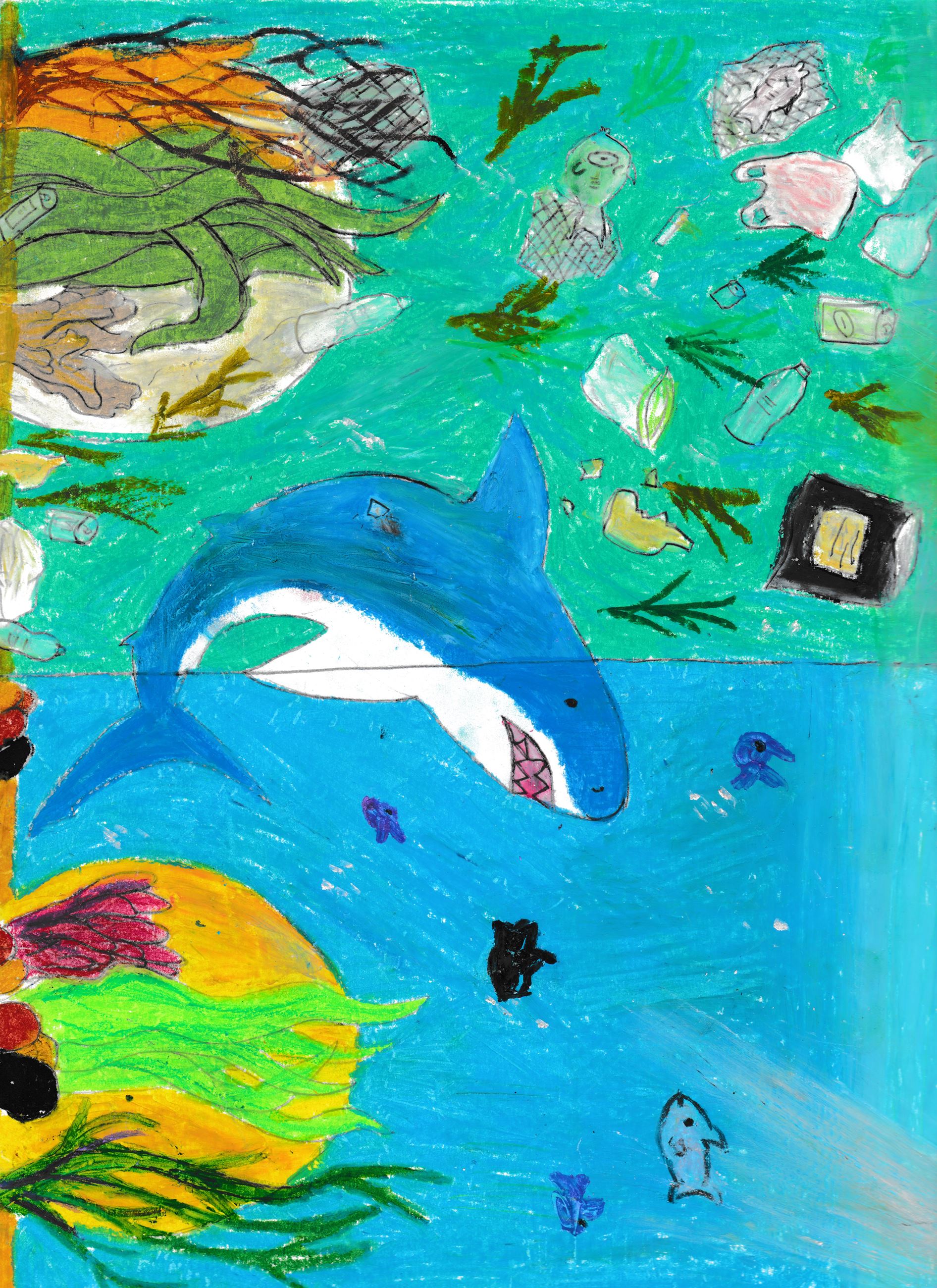Drawing of a shark underwater with trash floating above and coral reef below
